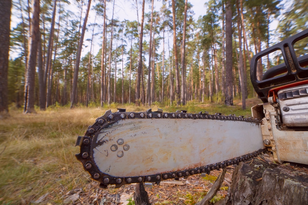 close up chainsaw