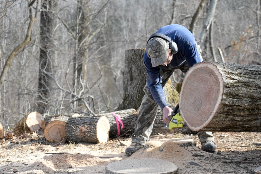 Ryobi 40V Chainsaw Stopped Working? Try These 3 Handy Fixes HookedOnTool