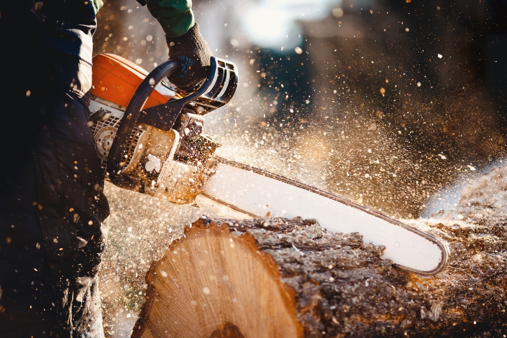 4 Solutions For Electric Chainsaw Oiler Not Working HookedOnTool