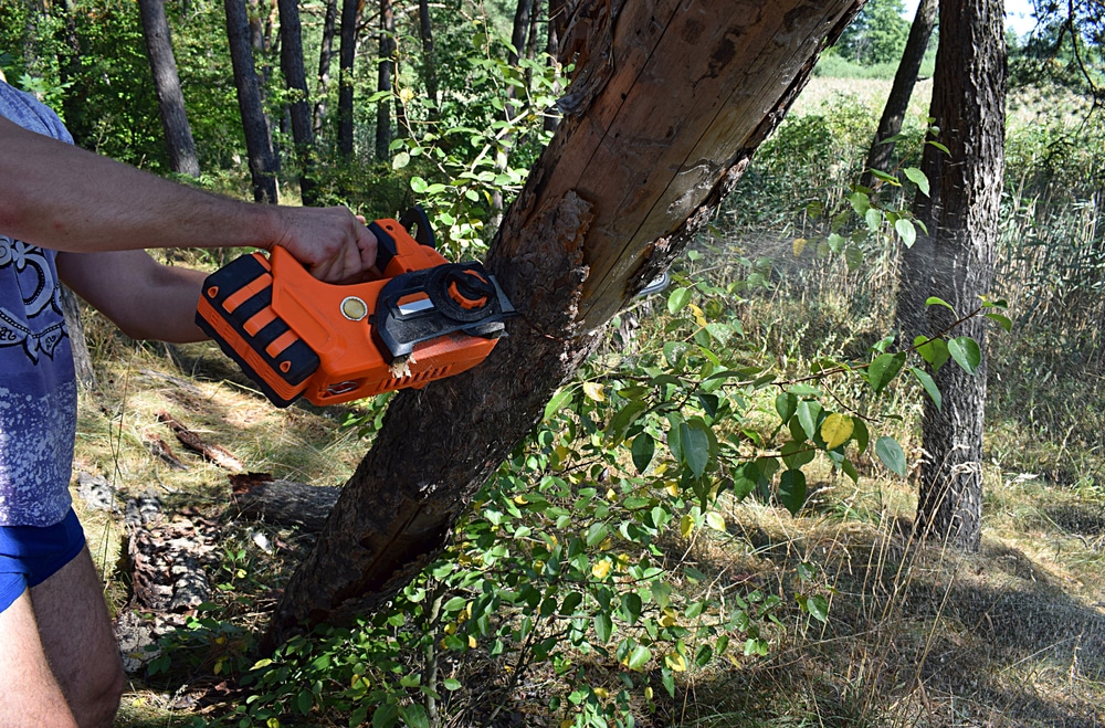 DeWalt Battery Powered Chainsaw Review Powerful? HookedOnTool