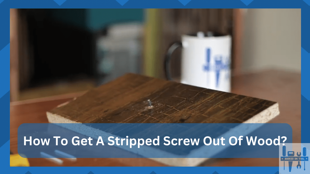 how-to-get-a-stripped-screw-out-of-wood-hookedontool