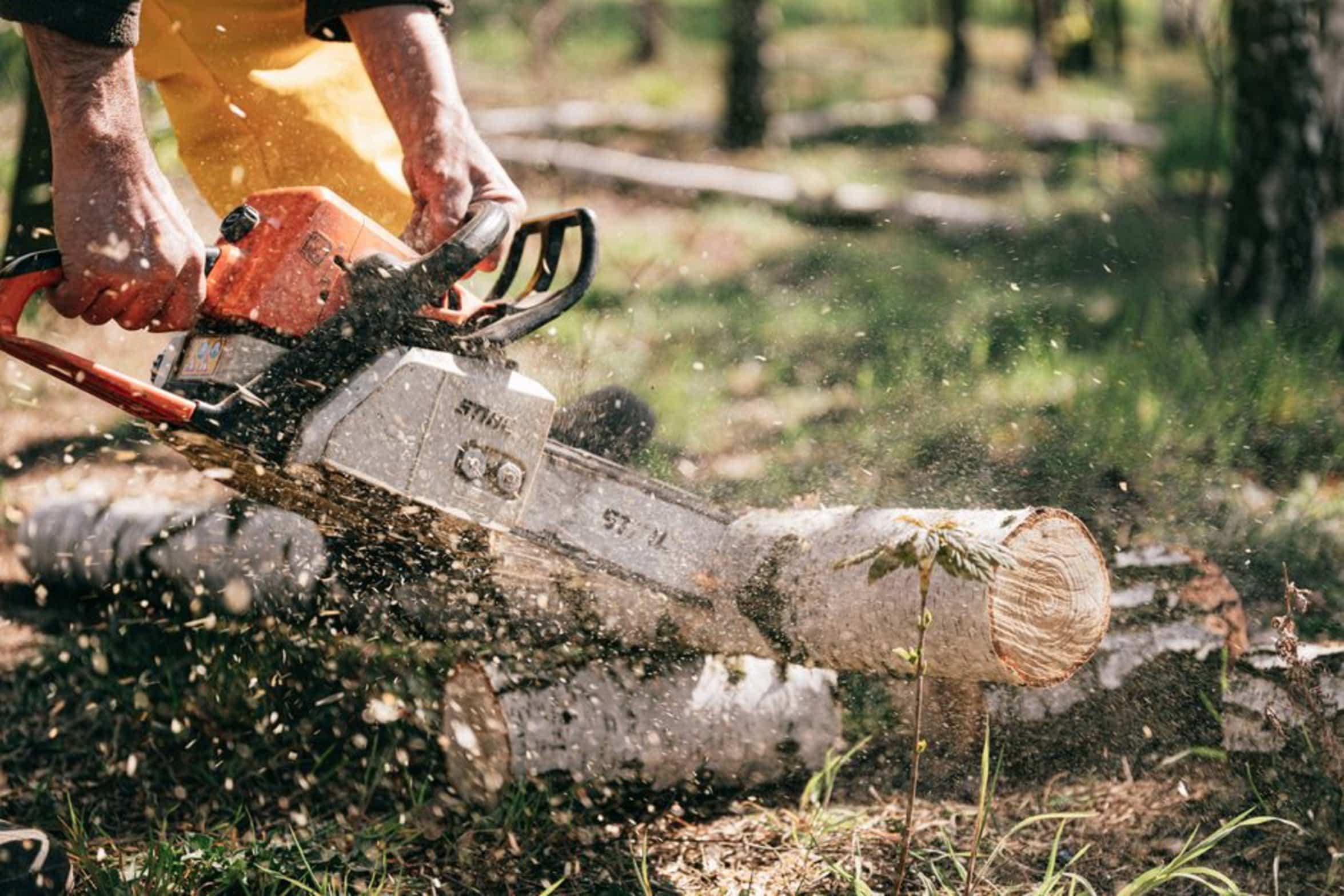 chainsaw bar cleaning chainsaw bar cleaning