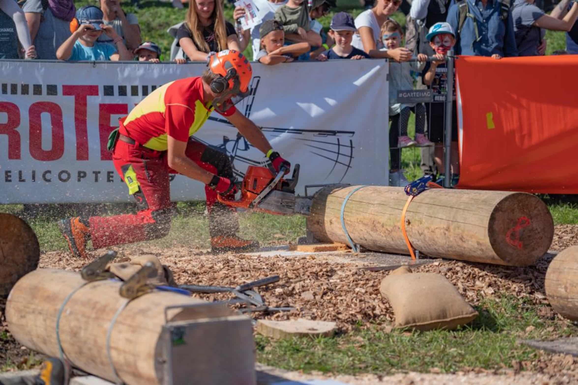 woodcutting outdoor work woodcutting outdoor work